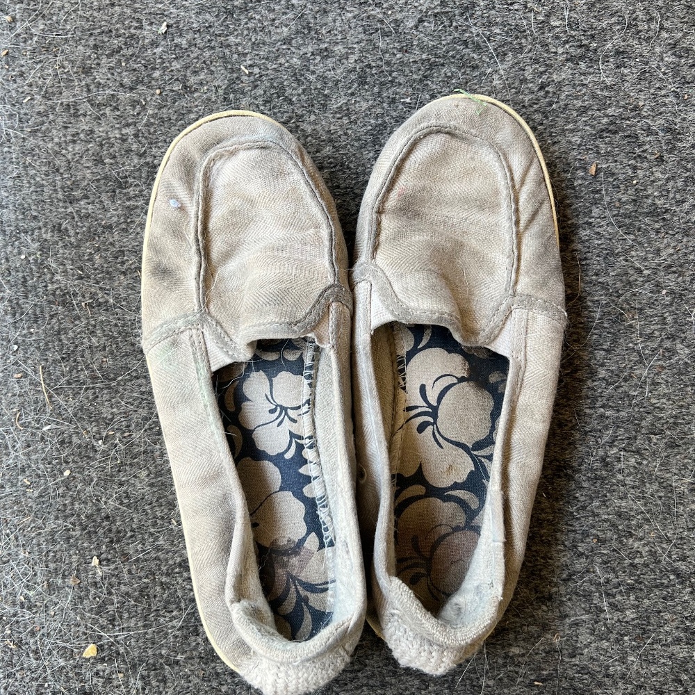 Well worn ROXY minnows